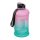 Gainesville ivópalack, 1,3l