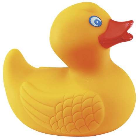 Sípoló kacsa