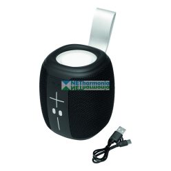 RESISTANT vezeték nélküli hangszóró