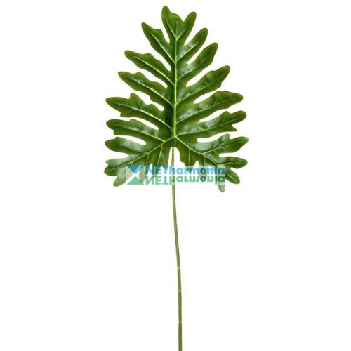 Filodendron levél dekoráció 