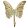 Pillangó alakú akasztó, arany színű, 18 cm
