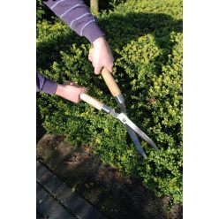 Sövényvágó olló 