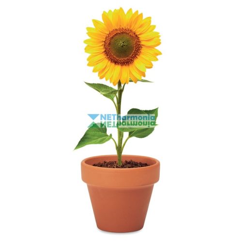 SUNFLOWER ültetőedény napraforgó magokkal