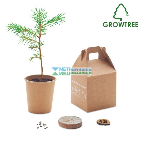 GROWTREE™ feketefenyő mag