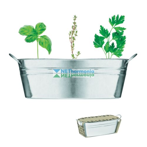MIX SEEDS fűszer szett