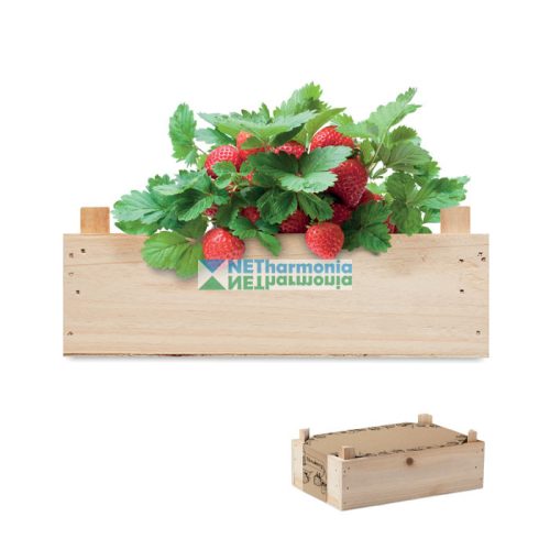 STRAWBERRY epertermesztő készlet