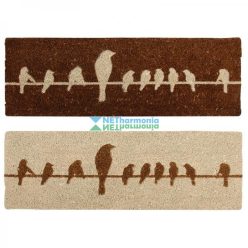 Lábtörlő, kókuszrost, 75 x 25 cm 